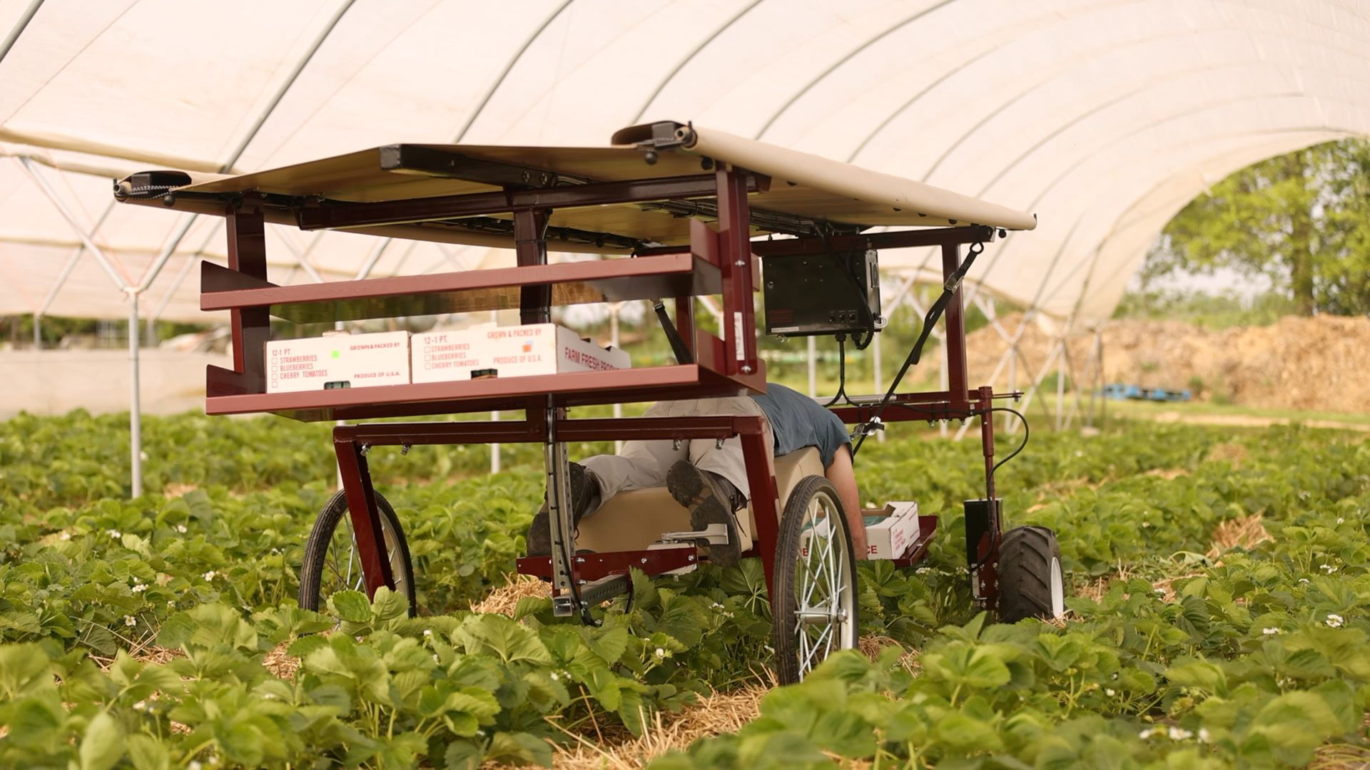 RoHand II Strawberry & Produce Harvester - Harvest Pro Mfg