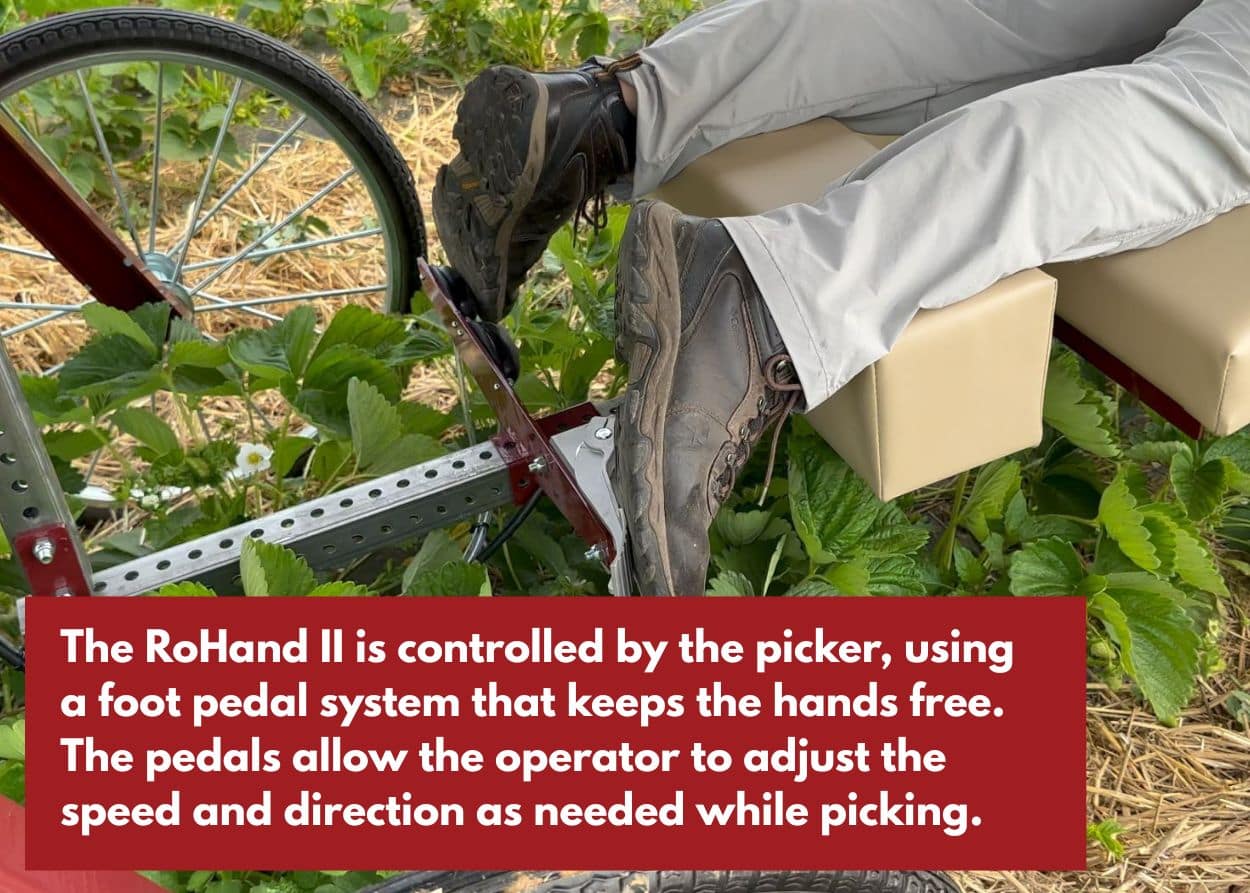 Person using a strawberry picker machine. Caption: The RoHand II is controlled by the picker, using a foot pedal system that keeps the hands free. The pedals allow the operator to adjust the speed and direction as needed while picking.