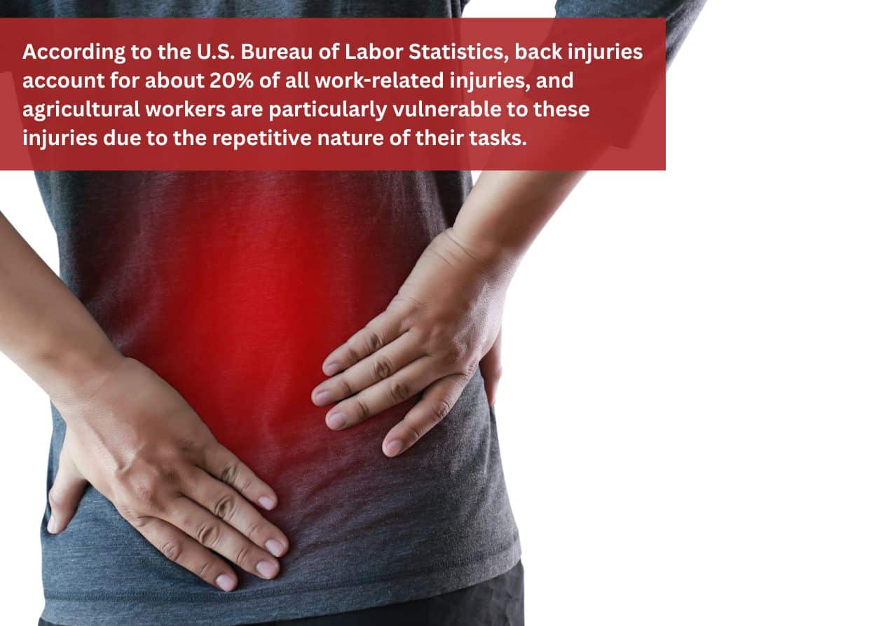 Person holding lower back in pain to represent strain from manual labor.