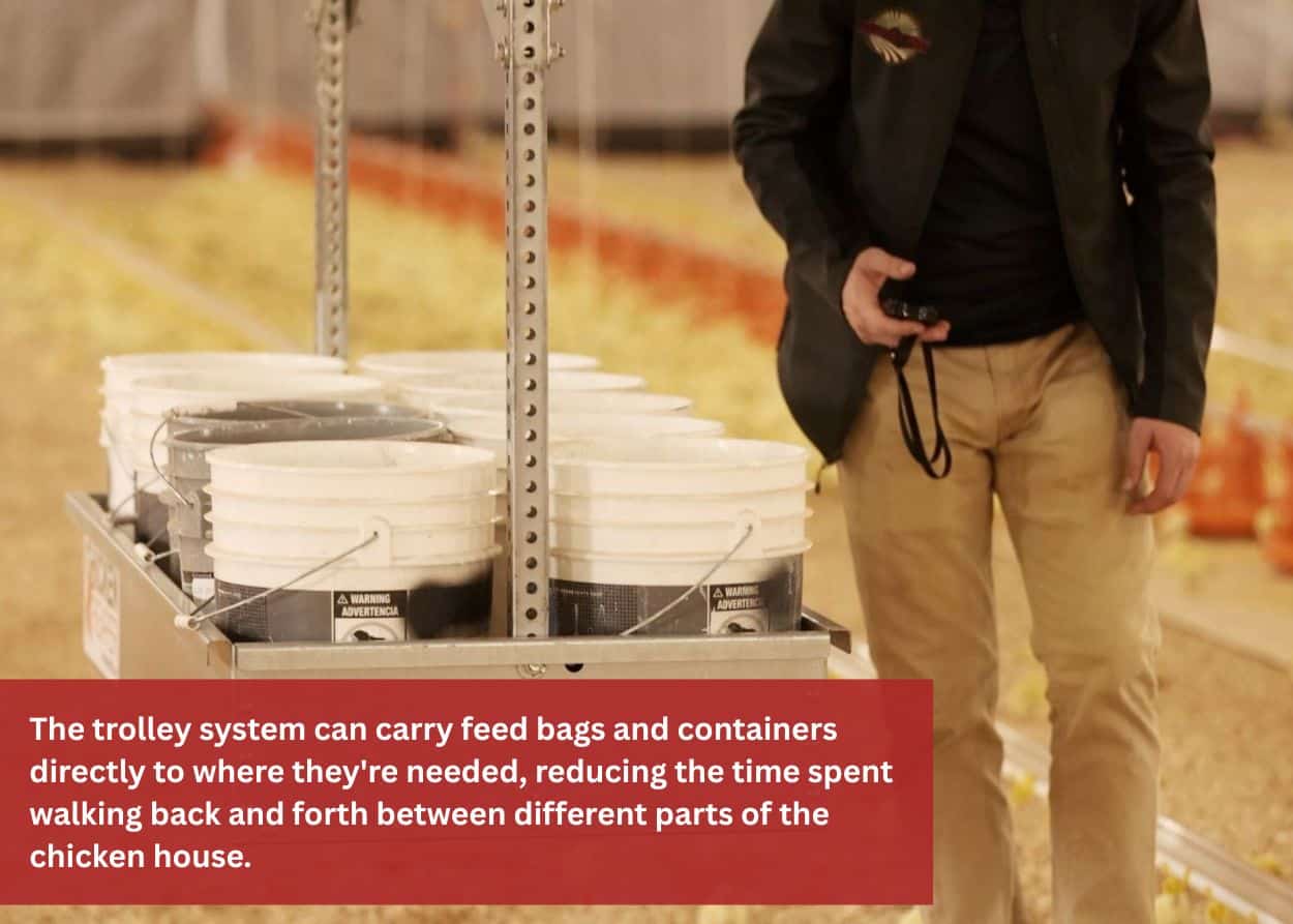 Worker walking beside poultry trolley carrying multiple buckets.