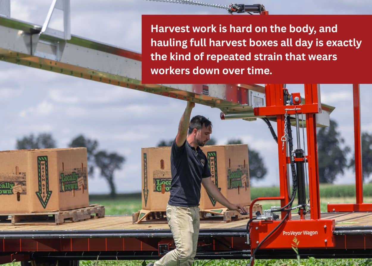 Farm worker operating a conveyor wagon during harvest season